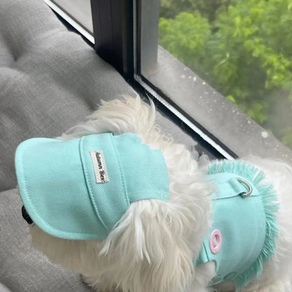 Candy Colour Denim Vest, Leash & Hat