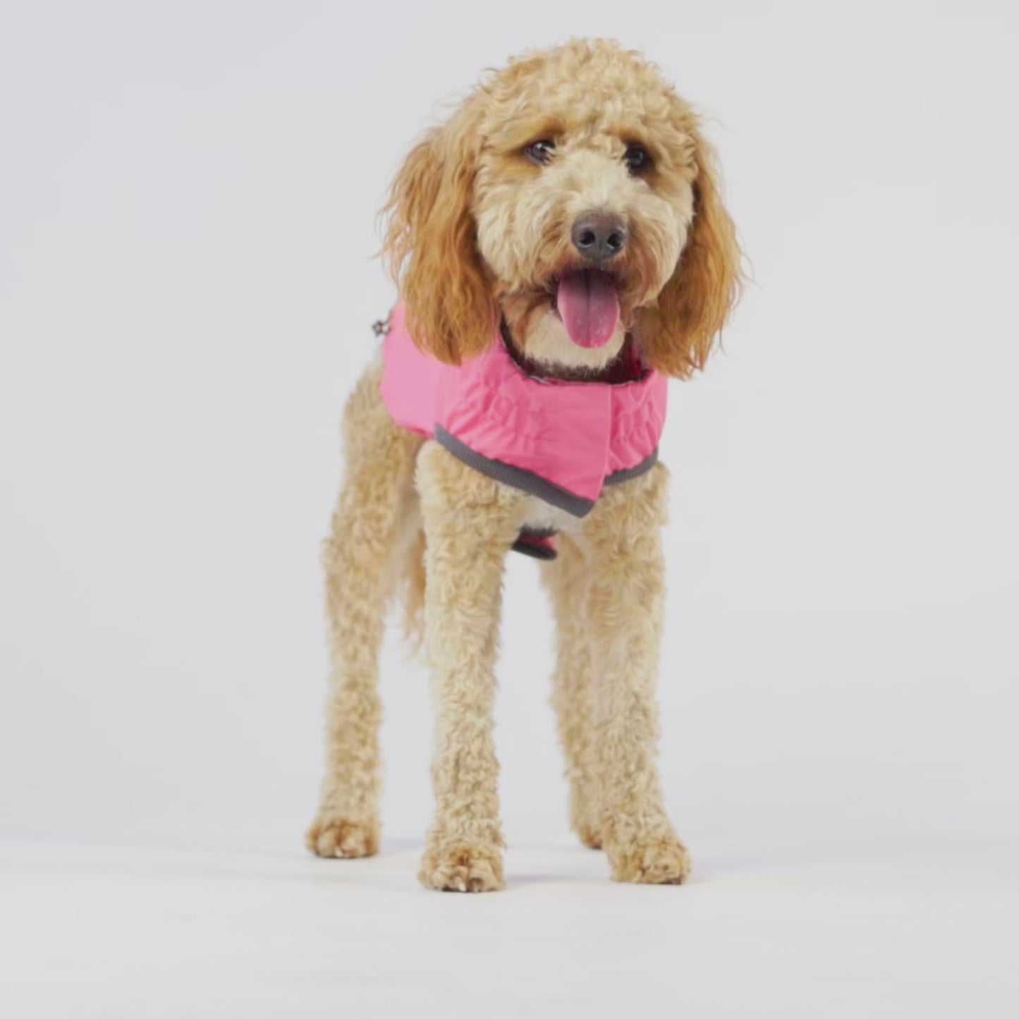 Reversible Elasto-Fit Raincoat - Pink