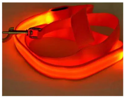 LED Fluorescent Dog Leash & Collar