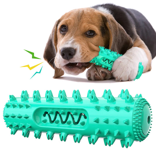 Molar Dental Chew Toy