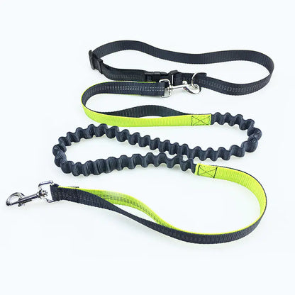 Hands Free Belt Leash for Running