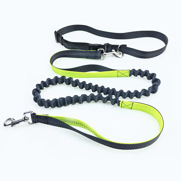 Hands Free Belt Leash for Running