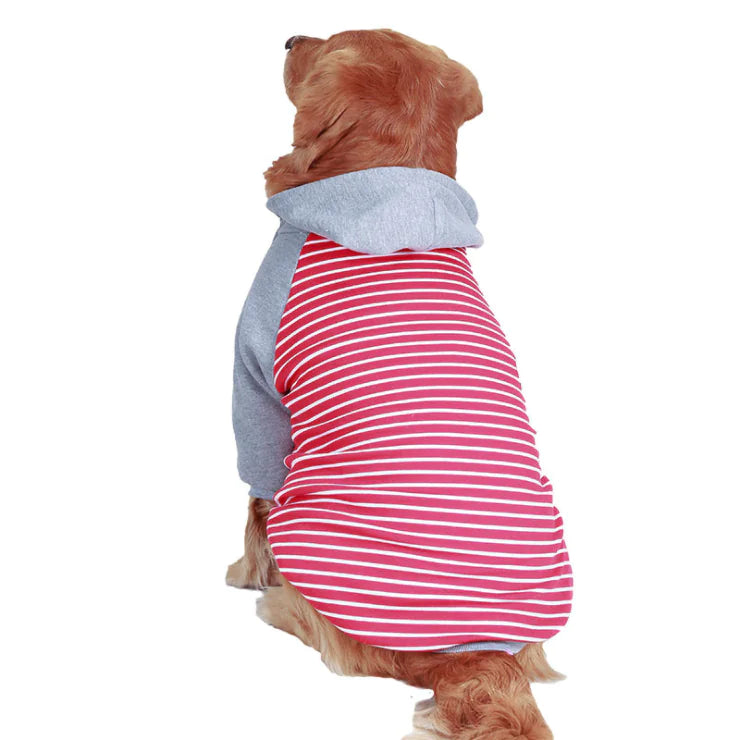 Stripped Hoodie