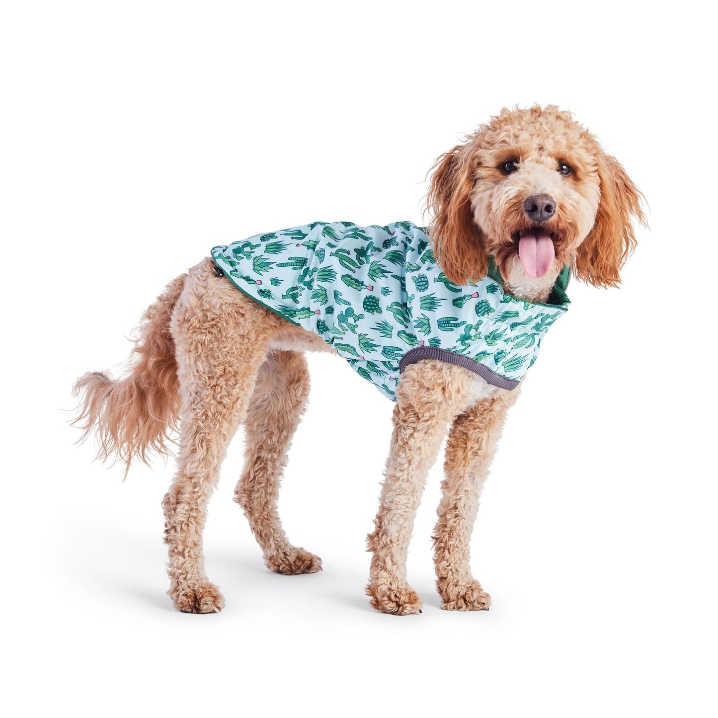 Reversible Elasto-Fit Raincoat - Green