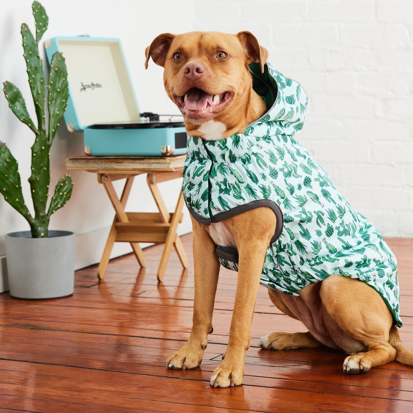 Reversible Elasto-Fit Raincoat - Green