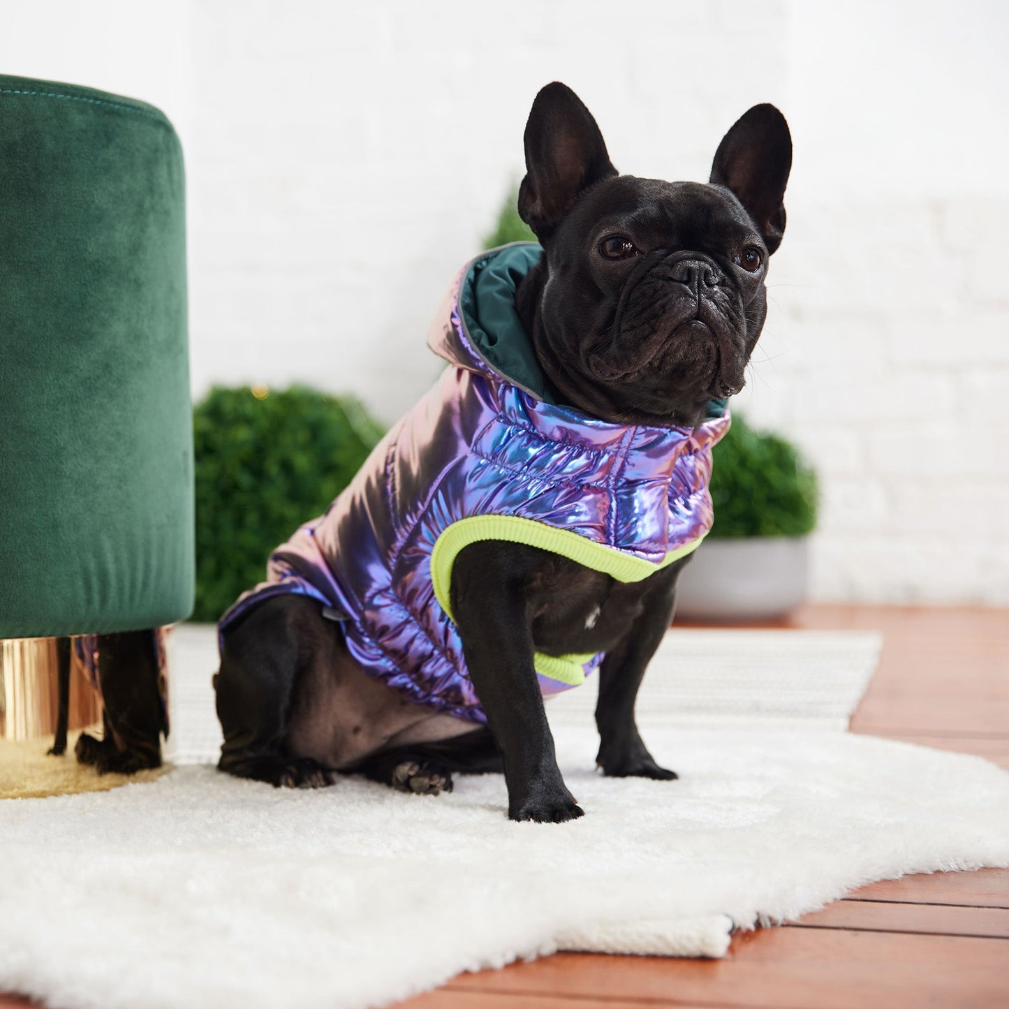 Recycled Puffer Parka - Iridescent