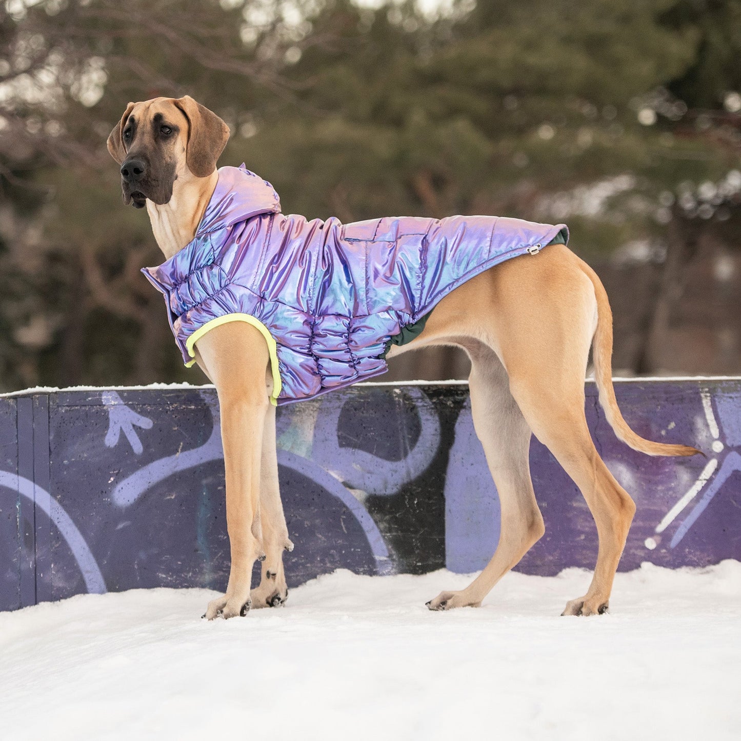 Recycled Puffer Parka - Iridescent