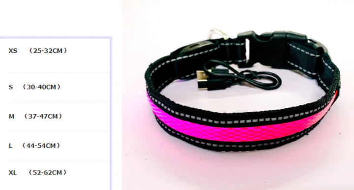 LED Fluorescent Dog Leash & Collar