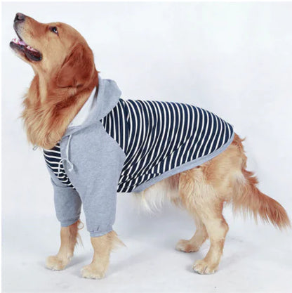 Stripped Hoodie