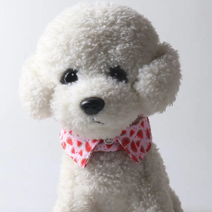 Fruit Blossom Cat Collars