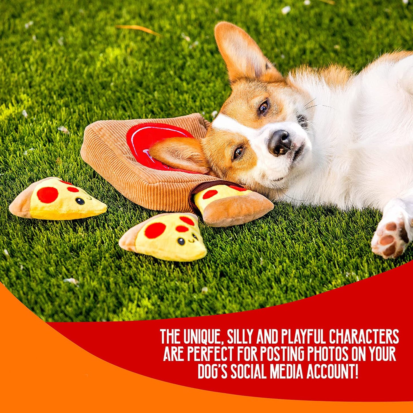 Pizza Mutt Toy Box