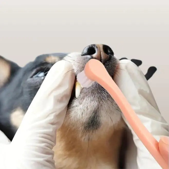 Dog and Cat Toothbrush