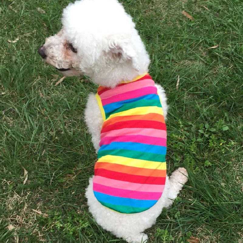 Rainbow Stripe Pet Shirt