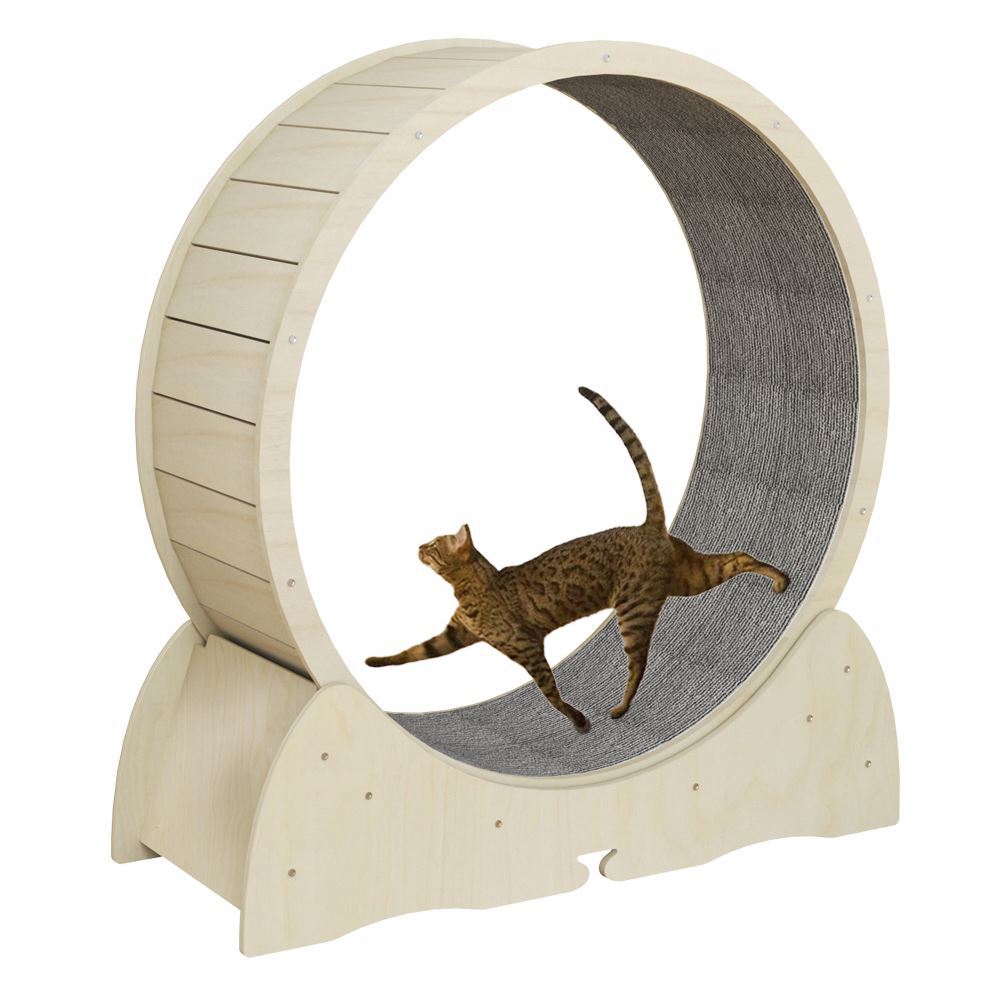 Interactive Cat Running Wheel