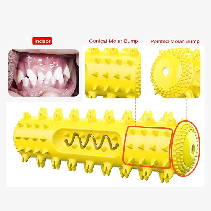 Molar Dental Chew Toy