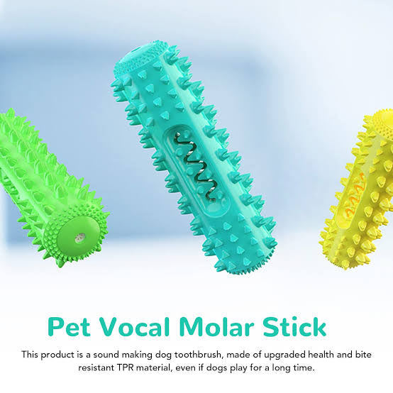 Molar Dental Chew Toy