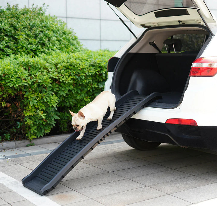 Non-slip Plastic Folding Ramp