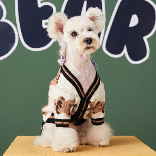 Preppy V-neck Bear Sweater