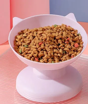 Slanted Food Bowl with Ears
