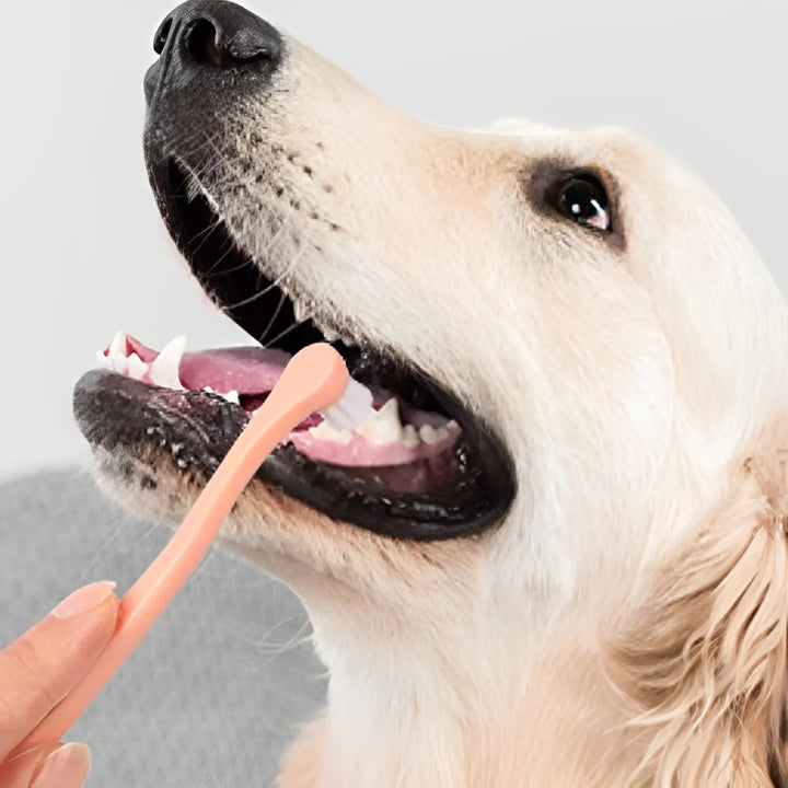 Dog and Cat Toothbrush