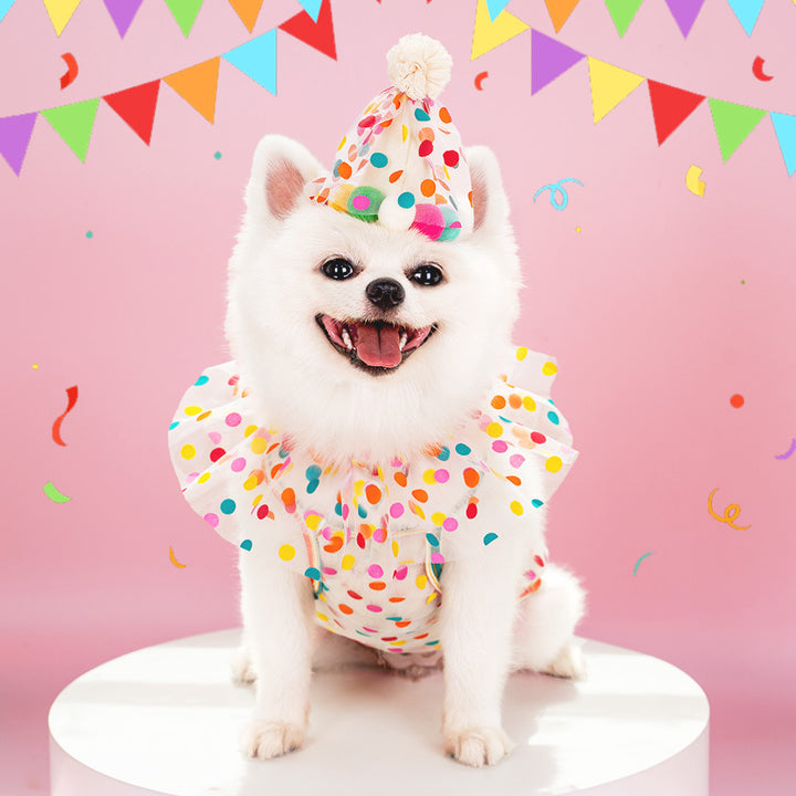 Polka Dot Lace Pet Birthday Hat & Bib Set