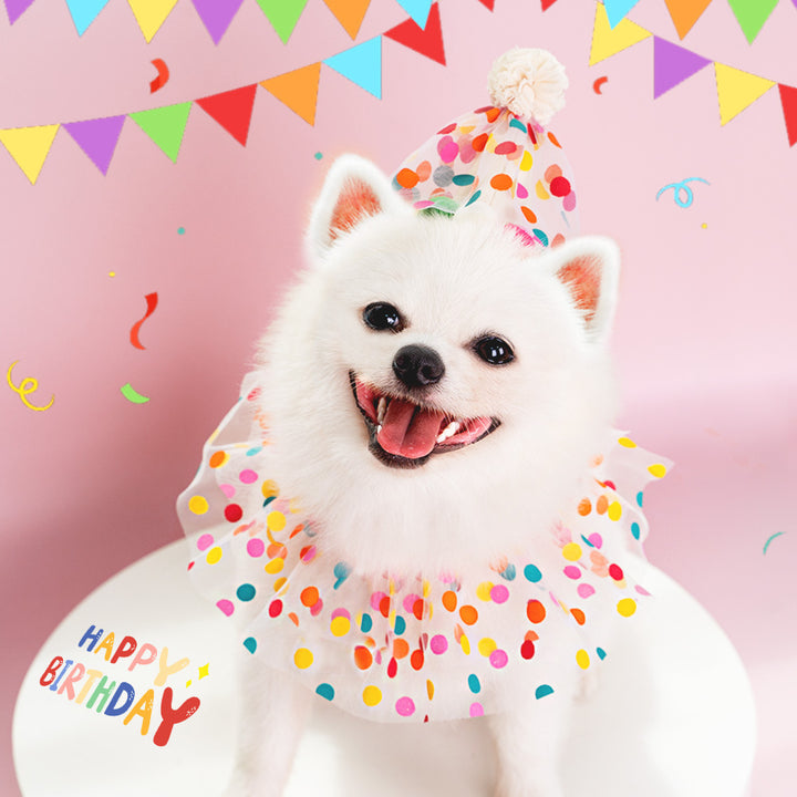 Polka Dot Lace Pet Birthday Hat & Bib Set