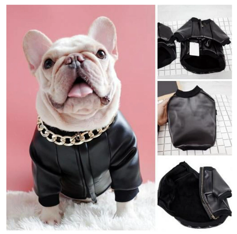 Zipper Stretch PU Leather Jacket