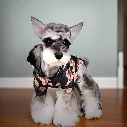 Teddy Bear Raincoat