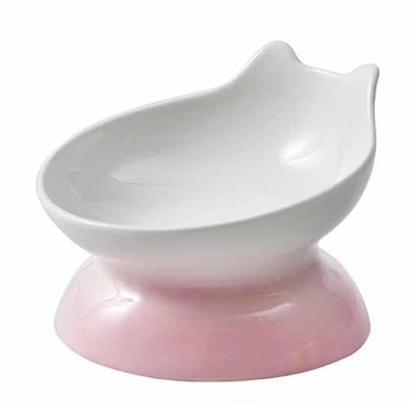 Ceramic Elevated Cat Bowl