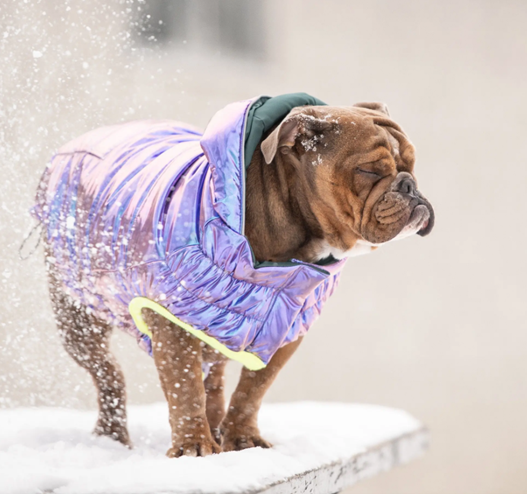 Recycled Puffer Parka - Iridescent