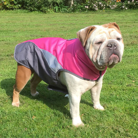 Coloured Raincoat