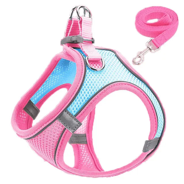 Reflective Harness for Cats and Small Dogs