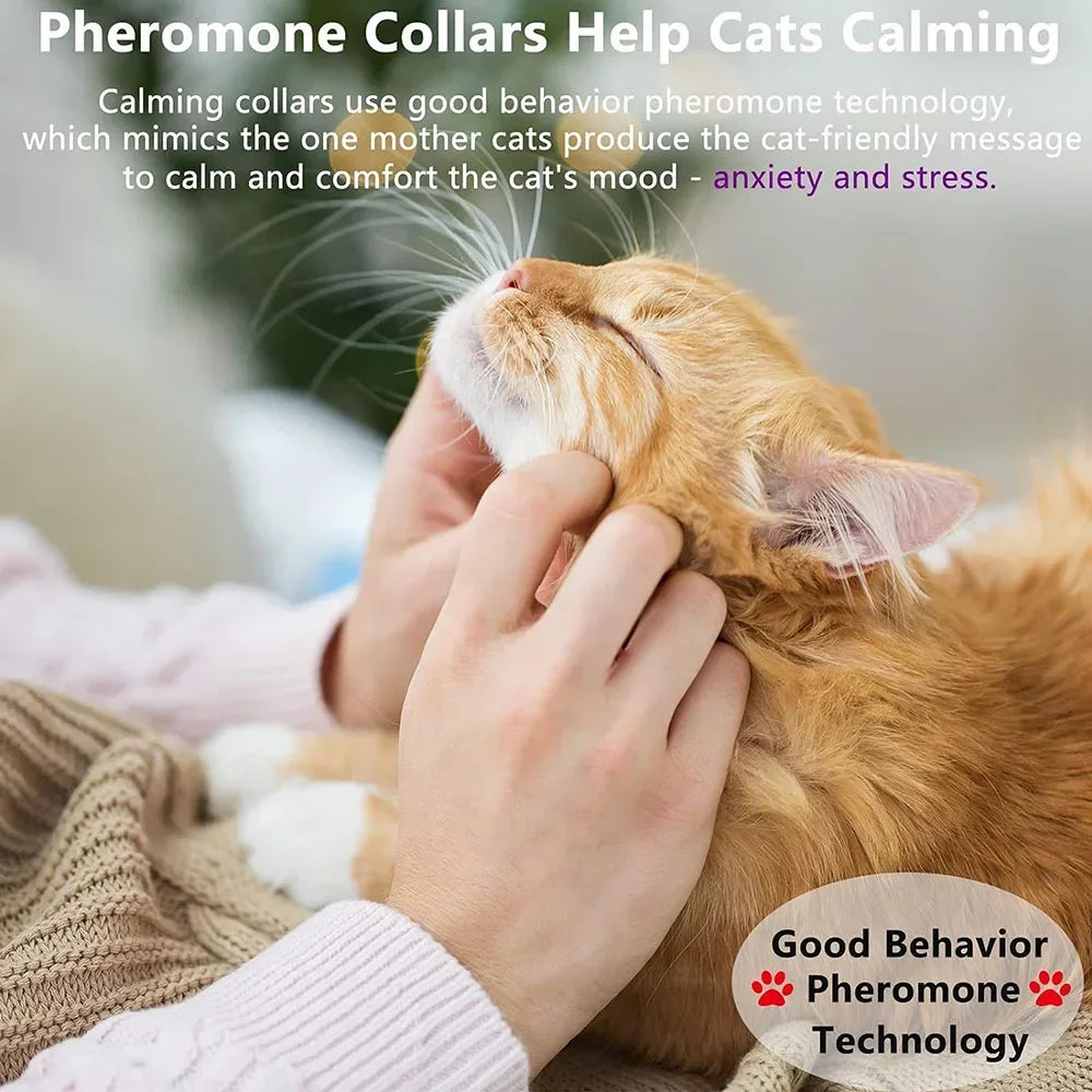 All Natural Calming Collar