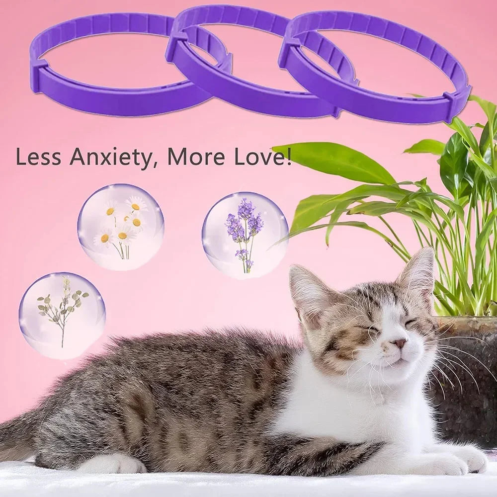 All Natural Calming Collar