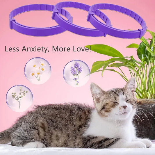 All Natural Calming Collar