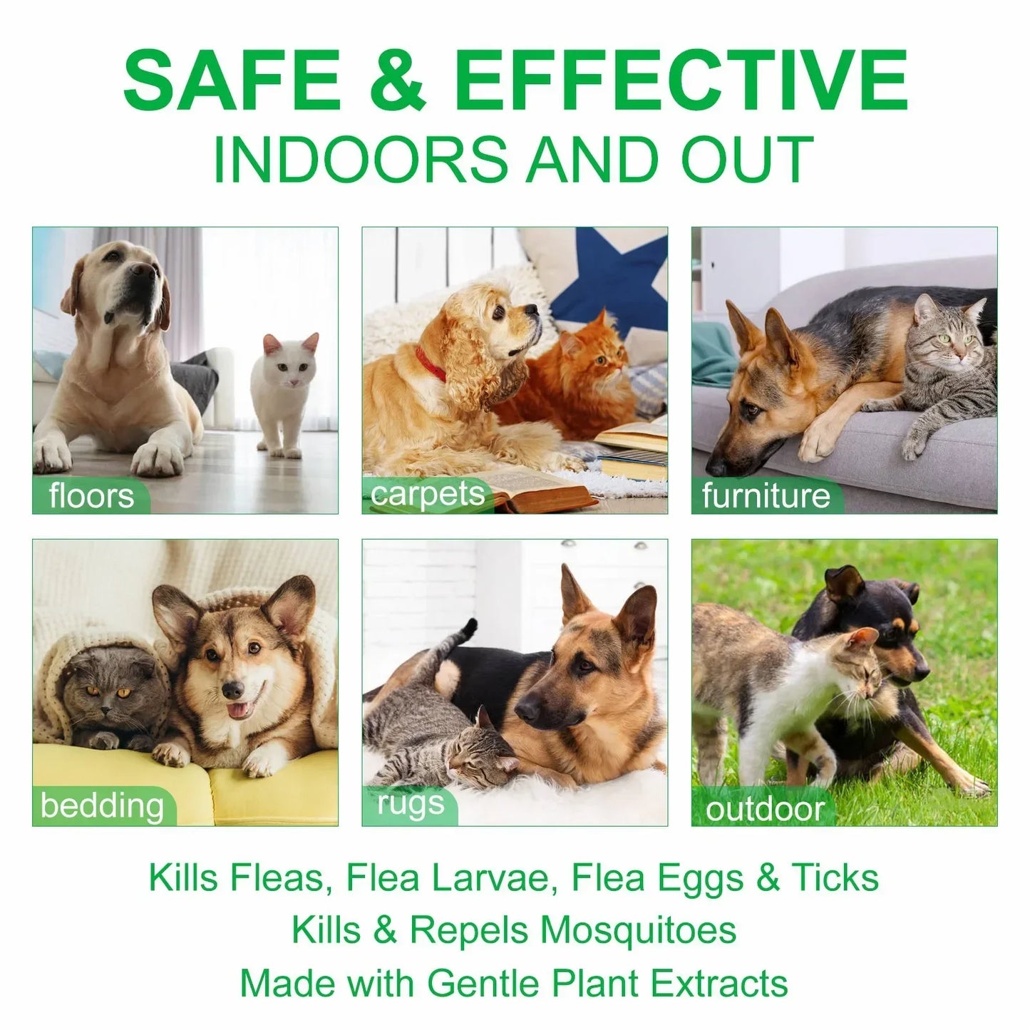 Natural Pet Care Topical Flea & Tick Spray