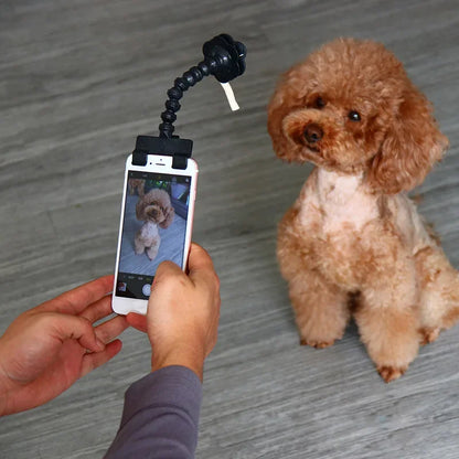 Pet Selfie Stick with Treat Holder