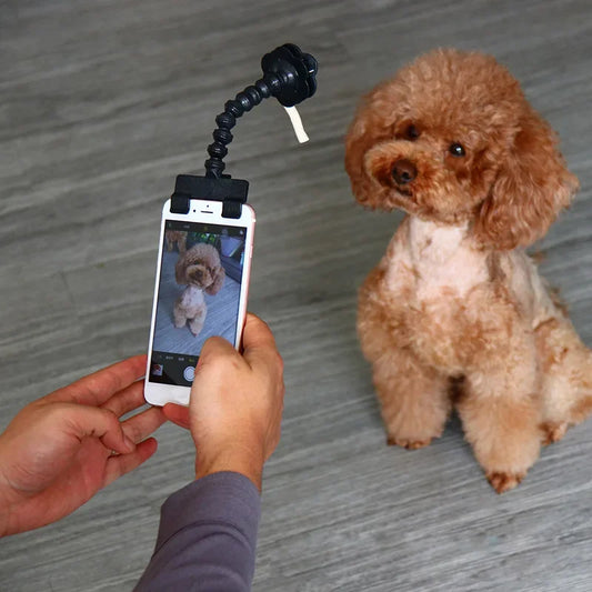 Pet Selfie Stick with Treat Holder