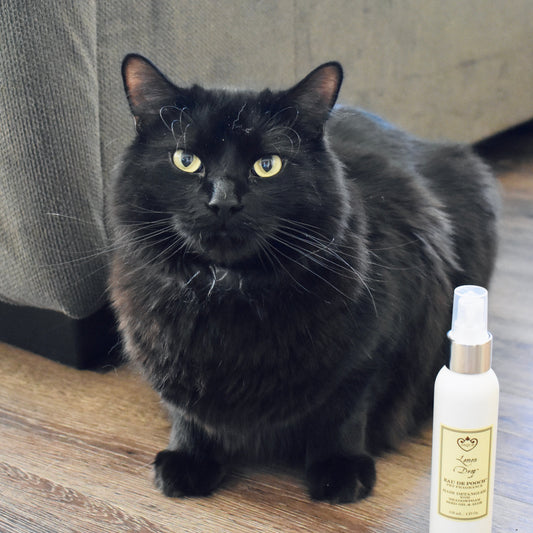 Eau De Pooch Pet Fragrance and Hair Detangler Spray - Lemon Drop