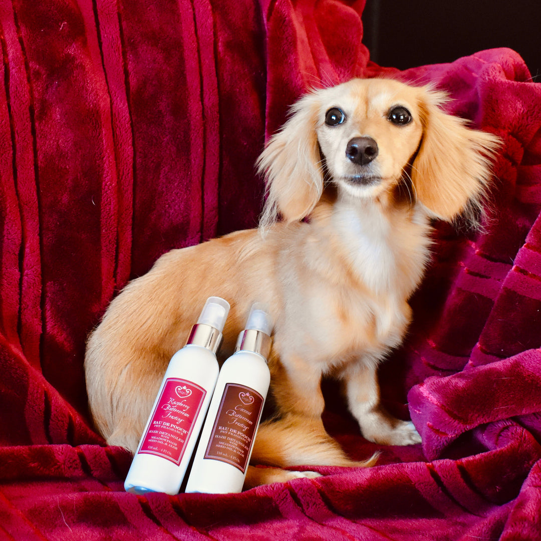 Eau De Pooch Pet Fragrance and Hair Detangler Spray - Raspberry Buttercream Frosting