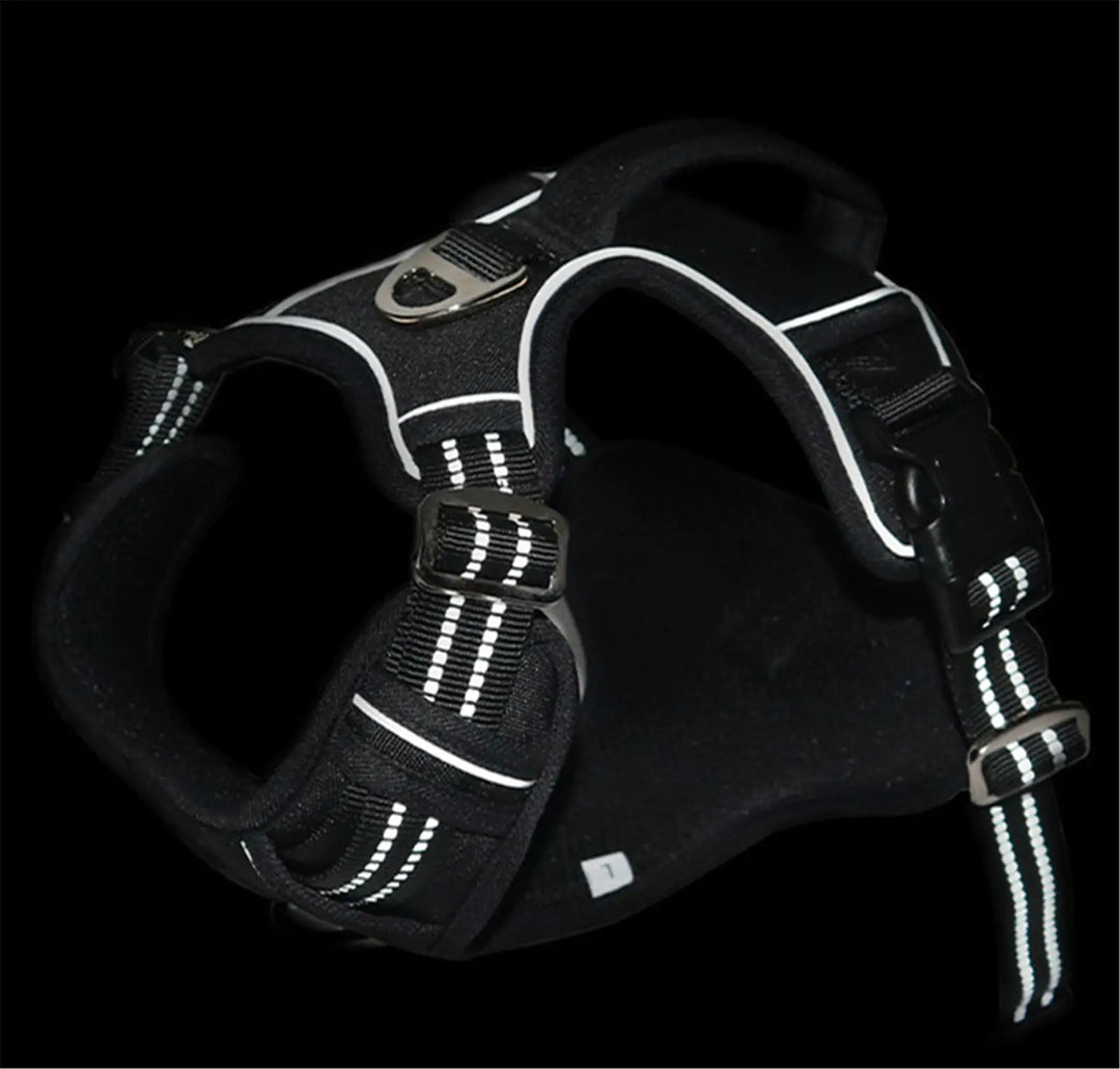 Waterproof Reflective Harness with Handle