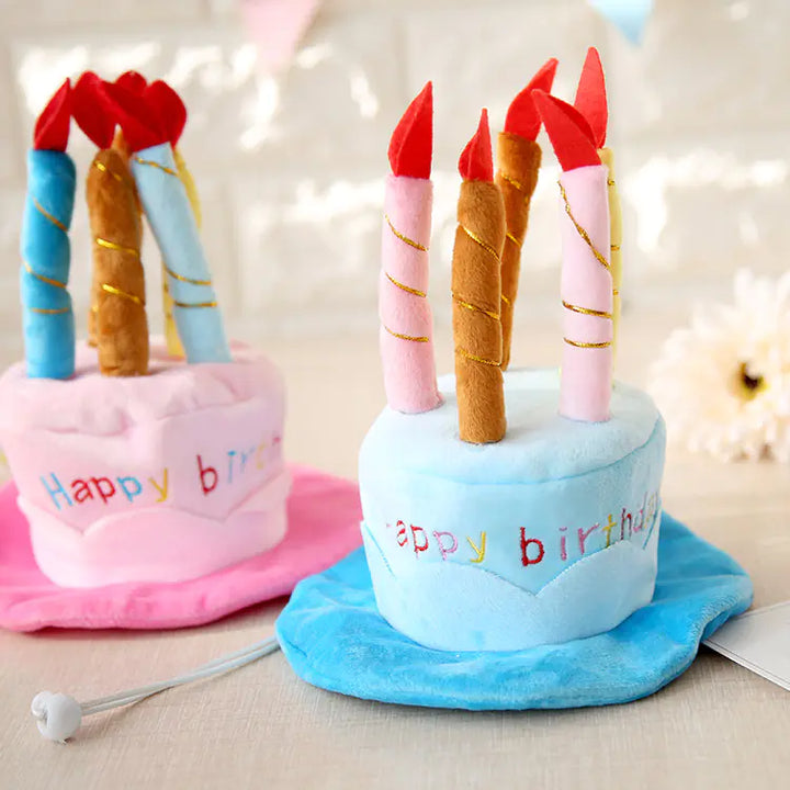 Cute Birthday Cake Hat