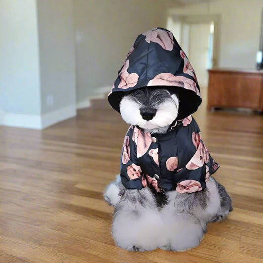 Teddy Bear Raincoat