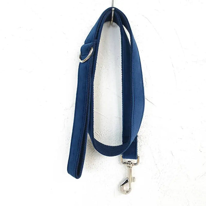 Blue Velvet Bow, Collar & Leash Set