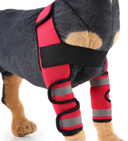 Front Leg Protective Sleeve Brace