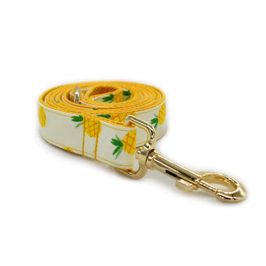 Yellow Pineapple Nylon Collar Set
