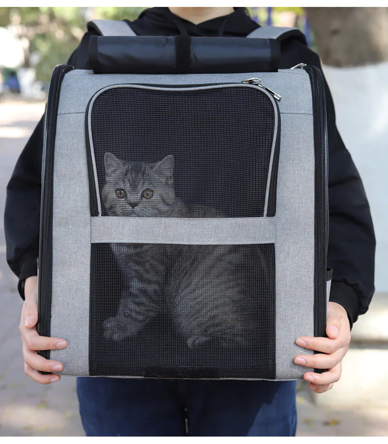 Backpack Mesh Pet Carrier