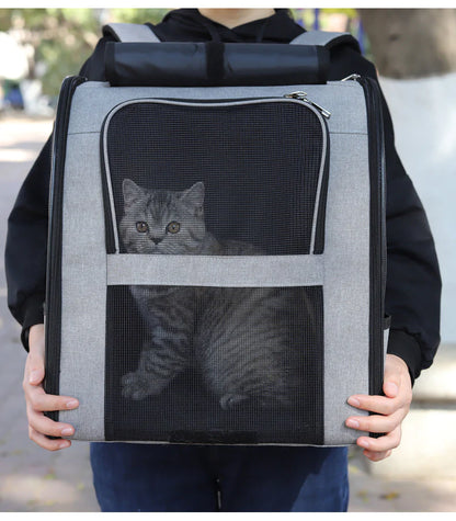 Backpack Mesh Pet Carrier