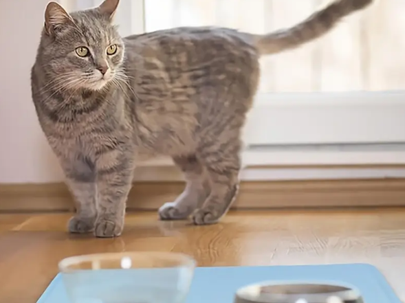 Silicone non slip mat