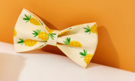 Yellow Pineapple Nylon Collar Set
